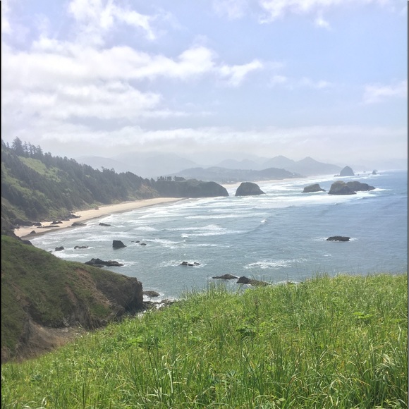 Meet your Posher, Paul - Picture 1 of 1